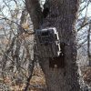 best trail camera
