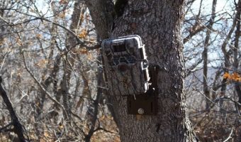 best trail camera